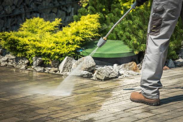 Best Pool Deck Cleaning  in Head Of The Harbor, NY