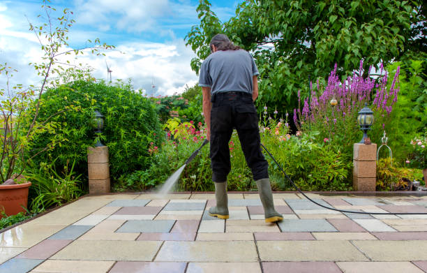 Best Animal Enclosure Cleaning  in Head Of The Harbor, NY